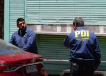 Más de 3.000 perros se espera estilizar desde agosto en Valparaíso