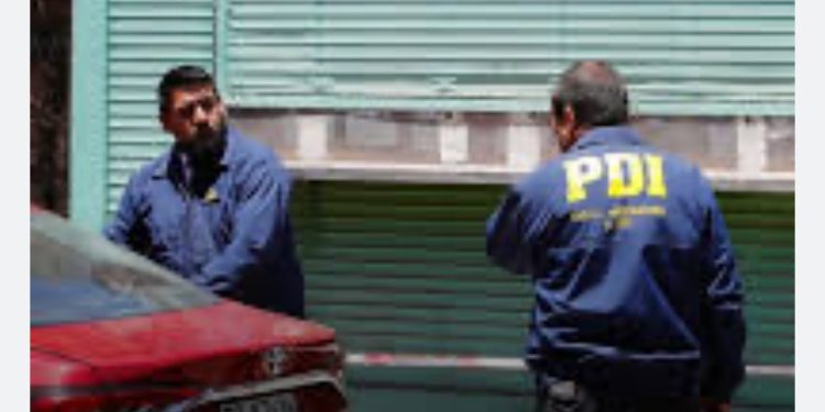 Más de 3.000 perros se espera estilizar desde agosto en Valparaíso