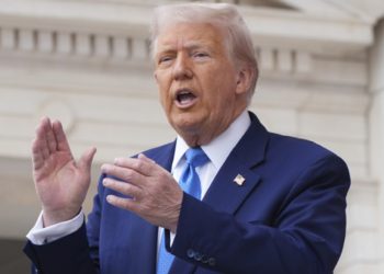 Más de 3.000 perros se espera estilizar desde agosto en Valparaíso