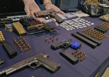 Más de 3.000 perros se espera estilizar desde agosto en Valparaíso