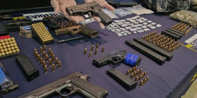 Más de 3.000 perros se espera estilizar desde agosto en Valparaíso