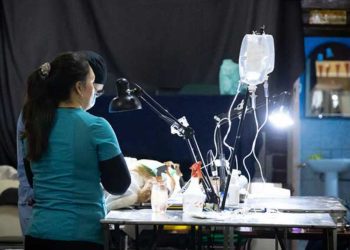 Más de 3.000 perros se espera estilizar desde agosto en Valparaíso