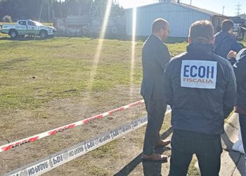 Fallece tigresa Michelle en el Zoológico de Quilpué tras falla renal y aplicación de eutanasia