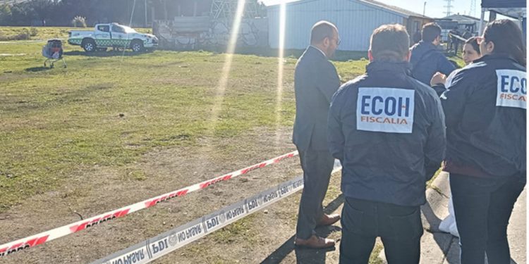 Fallece tigresa Michelle en el Zoológico de Quilpué tras falla renal y aplicación de eutanasia