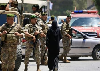 Fallece tigresa Michelle en el Zoológico de Quilpué tras falla renal y aplicación de eutanasia