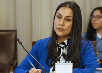 Oficialismo preocupado por baja participación en las primarias