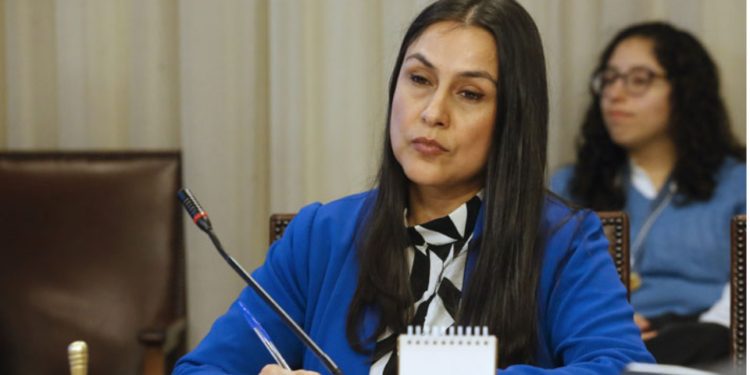 Oficialismo preocupado por baja participación en las primarias