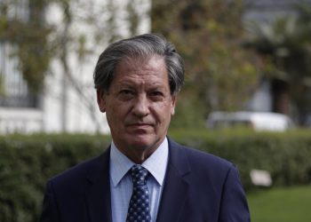 Oficialismo preocupado por baja participación en las primarias