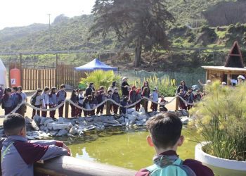 300 niños del Colegio Saint Thomas de Playa Ancha visitaron gratuitamente Acuario Vivamar en Ritoque