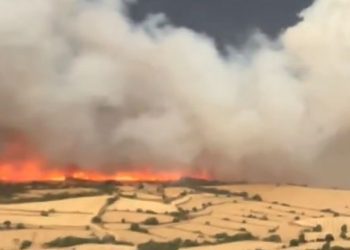 Dos clubes italianos estarían tras los pasos de Lucas Cepeda