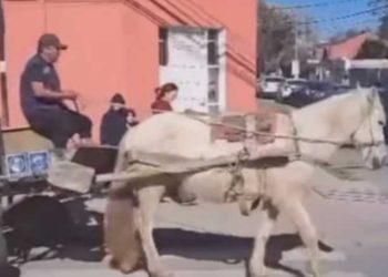 Abren inscripción para de nivelación de estudios de enseñanza media en sectores rurales de Quintero