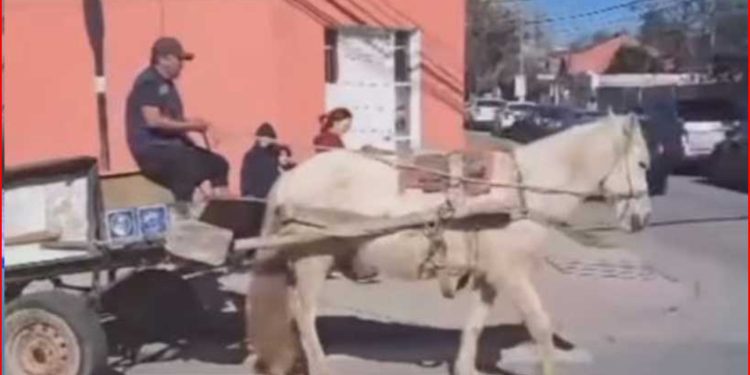 Abren inscripción para de nivelación de estudios de enseñanza media en sectores rurales de Quintero