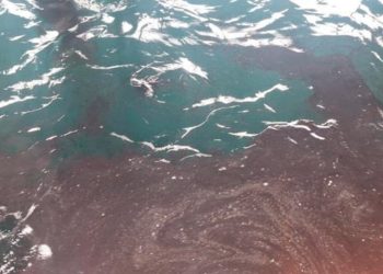 Instruyen sumario administrativo por mancha de petróleo en caleta El Membrillo