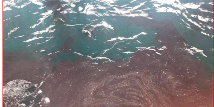 Instruyen sumario administrativo por mancha de petróleo en caleta El Membrillo