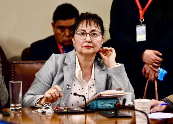 El nuevo subsidio que unifica beneficios: más aporte, mayor cobertura y acceso más fácil