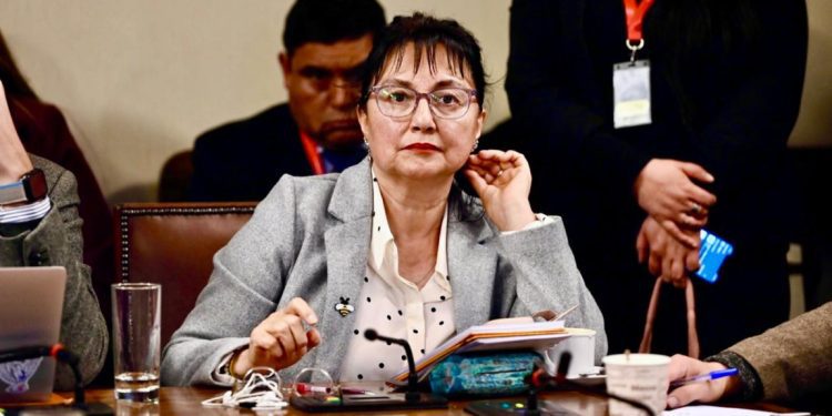 El nuevo subsidio que unifica beneficios: más aporte, mayor cobertura y acceso más fácil