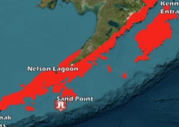 RN anuncia candidatura de Marlen Olivari por Valparaíso y abundan críticas por farandulización de la política