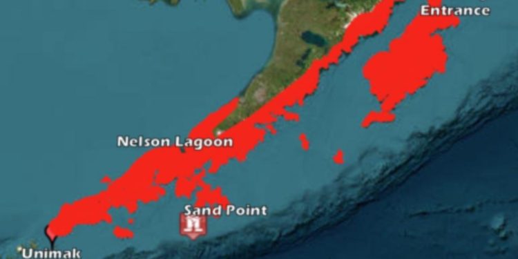 RN anuncia candidatura de Marlen Olivari por Valparaíso y abundan críticas por farandulización de la política
