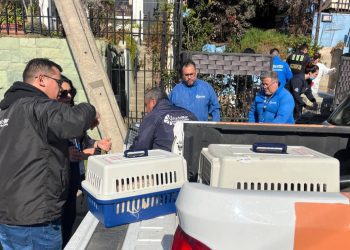 Desempleo en Chile, exige acción