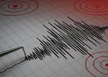 Servel implementa doble verificación de identidad en sus trámites