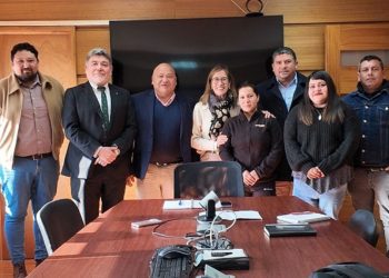 Continúa polémica por 30 millones de tarros de jurel en conserva que serían falsos