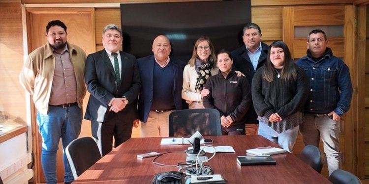 Continúa polémica por 30 millones de tarros de jurel en conserva que serían falsos