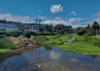 Alertan graves niveles de contaminación en estero de Reñaca