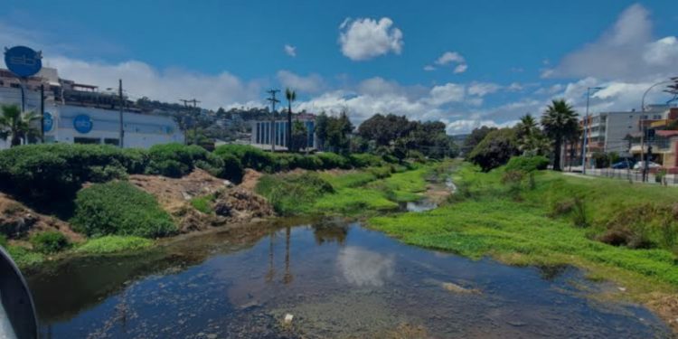 Alertan graves niveles de contaminación en estero de Reñaca