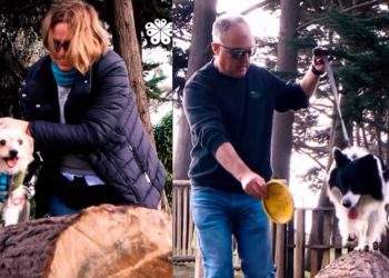 Quintero inaugurará Parque Canino en el Parque Municipal