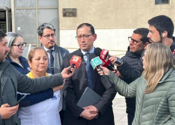 Anímate a participar en el taller de Museo Fonck: “Bichos: pequeños héroes del planeta”