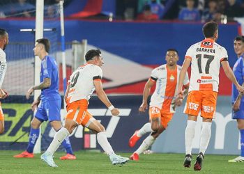 Anímate a participar en el taller de Museo Fonck: “Bichos: pequeños héroes del planeta”