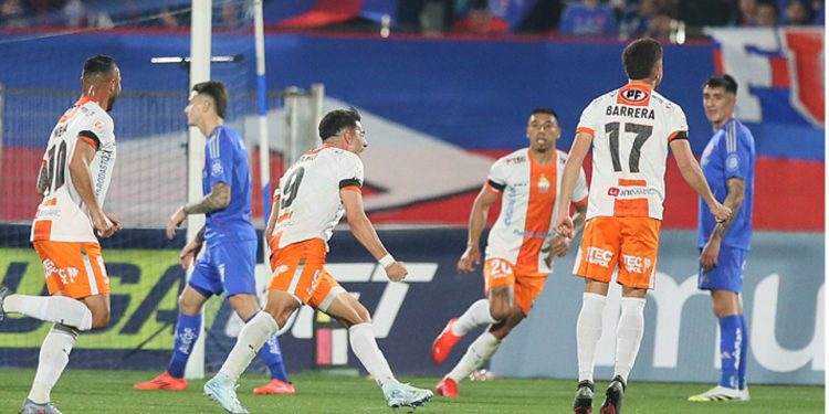 Anímate a participar en el taller de Museo Fonck: “Bichos: pequeños héroes del planeta”