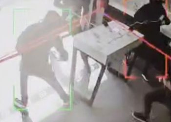 Anímate a participar en el taller de Museo Fonck: “Bichos: pequeños héroes del planeta”