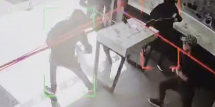 Anímate a participar en el taller de Museo Fonck: “Bichos: pequeños héroes del planeta”