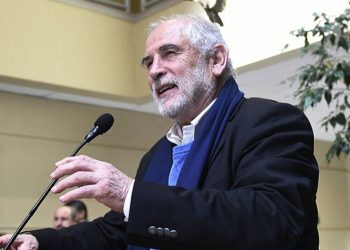 Anímate a participar en el taller de Museo Fonck: “Bichos: pequeños héroes del planeta”