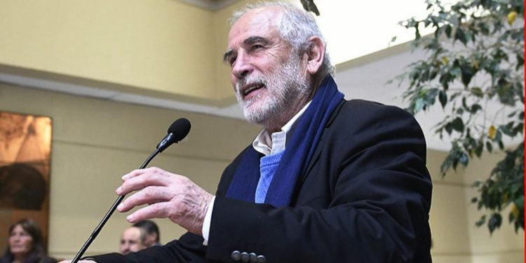 Anímate a participar en el taller de Museo Fonck: “Bichos: pequeños héroes del planeta”