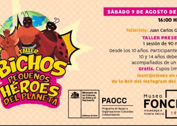 Anímate a participar en el taller de Museo Fonck: “Bichos: pequeños héroes del planeta”