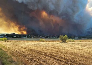 Macarena Ruiz Balart asume como nueva gerente de la Corporación Cultural de Viña del Mar