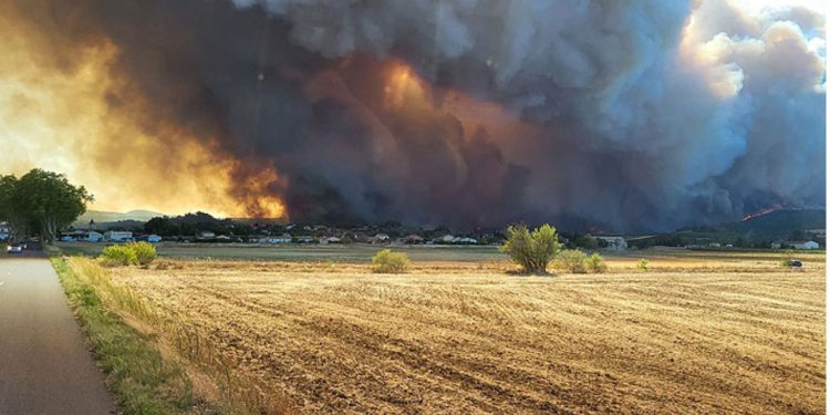 Macarena Ruiz Balart asume como nueva gerente de la Corporación Cultural de Viña del Mar