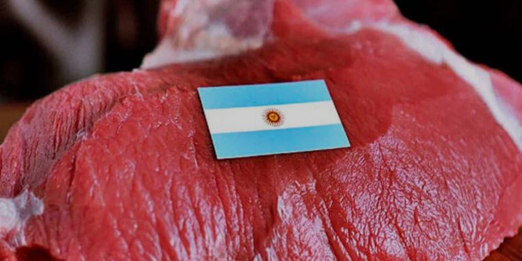 Macarena Ruiz Balart asume como nueva gerente de la Corporación Cultural de Viña del Mar