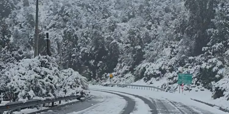 Sismo de magnitud 7,6 cerca de la base Frei provocó inicial estado de alerta por amenaza de tsunami en territorio antártico