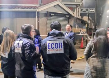 El desempleo profesional y el valor de la educación