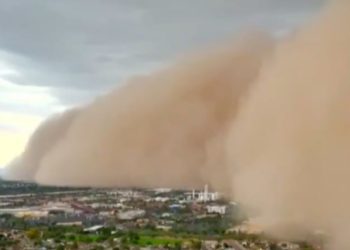 El desempleo profesional y el valor de la educación