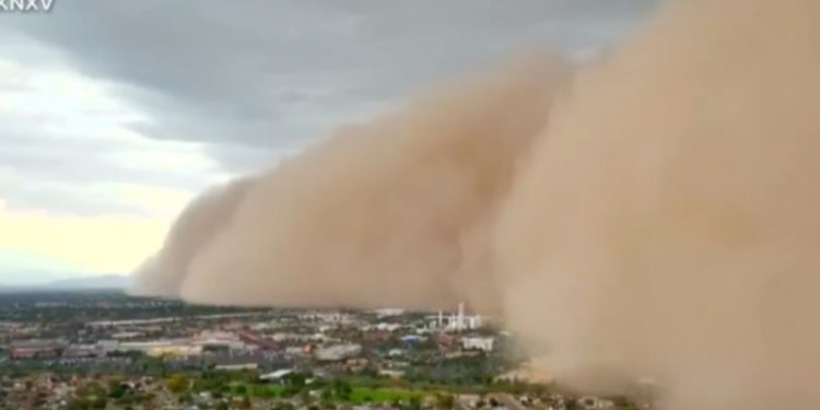 El desempleo profesional y el valor de la educación