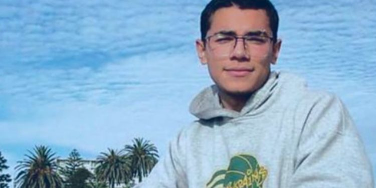 El desempleo profesional y el valor de la educación