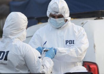 Claves para unas Fiestas Patrias Inclusivas