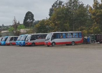 Claves para unas Fiestas Patrias Inclusivas