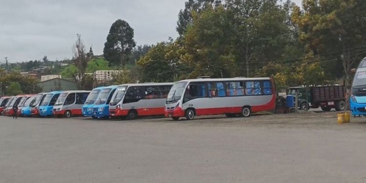 Claves para unas Fiestas Patrias Inclusivas