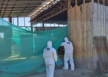 Municipio de Viña del Mar presenta primer Plan de Desarrollo Turístico