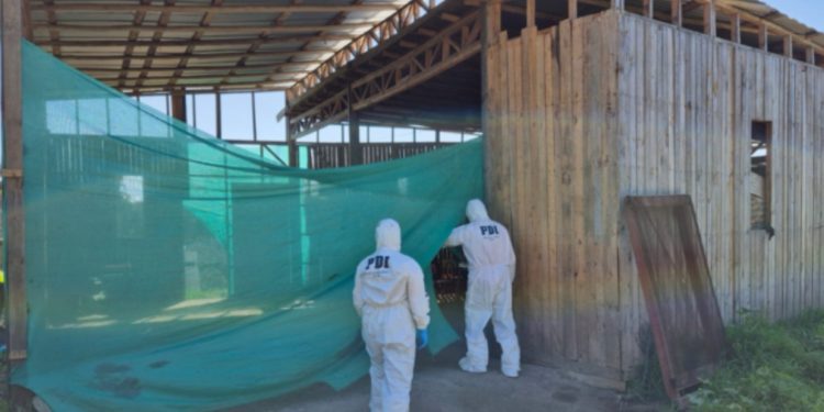 Municipio de Viña del Mar presenta primer Plan de Desarrollo Turístico